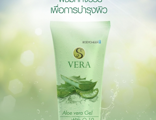 S Vera Gel (ເຈວຫວ້ານຫາງແຂ້) ພືດມະຫັດສະຈັນເພື່ອການບໍາລຸງຜິວ